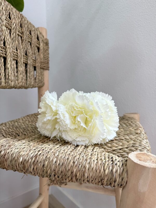 Clavel Triple Blanco Roto