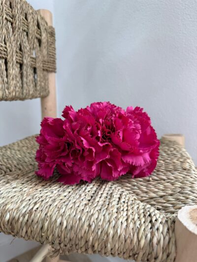 Clavel Triple Buganvilla