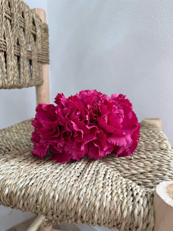 Clavel Triple Buganvilla