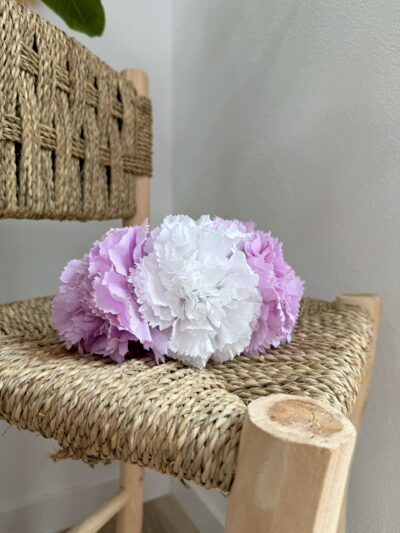 Clavel Triple Mixta Lila