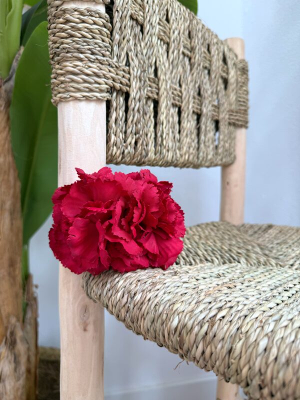 Peineta Clavel Rojo