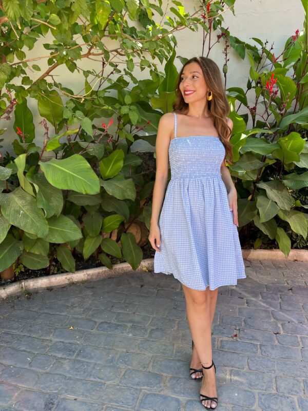 Vestido Panal Vichy Azul
