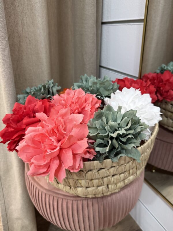 Peonia Mediana (Mix Colores) - VERDE