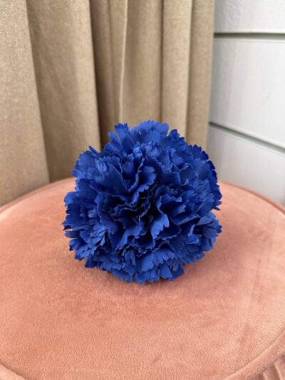 Clavel Mediano (Mix Colores) - AGUAMARINA