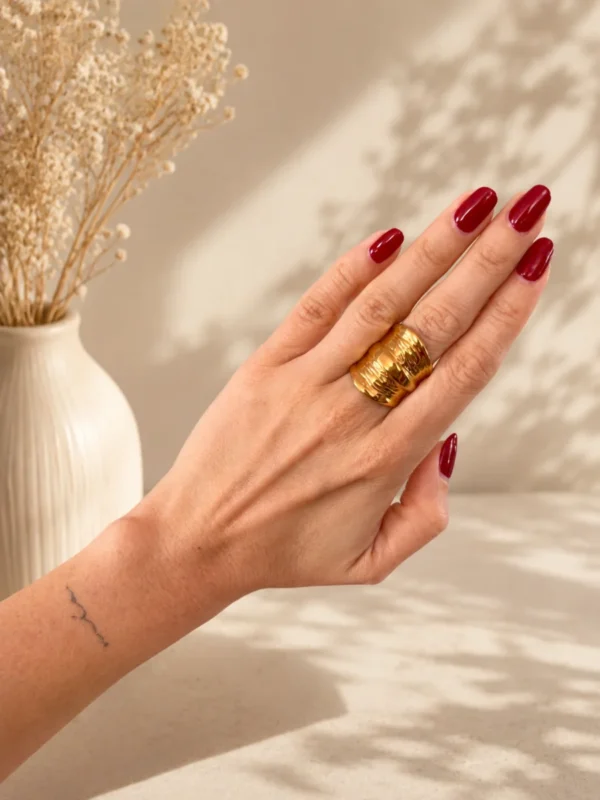Anillo Maison