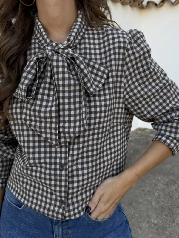 Camisa Diana Lazo Marrón